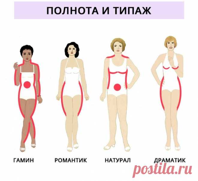 Типажи по Кибби и типы полноты: как они связаны и как определить свой