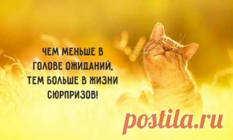 Одной фразой – Фитнес для мозга