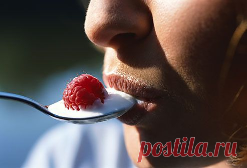 Пробиотики в пищевых продуктах | КРАСОТА И ЗДОРОВЬЕ