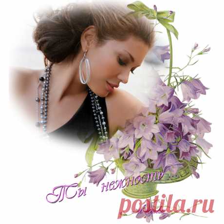 Фото Без названия