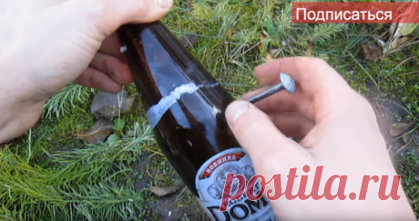 Забиваем на спор гвоздь в стеклянную бутылку | Приколы от Золотых Ручек | Ручки золотые | Яндекс Дзен