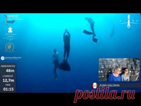Roatan 2017 AIDA WCH - DAY 4 -Men CWT - YouTube