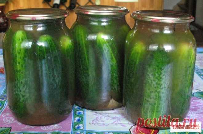 Мои любимые рецепты заготовок на зиму.
