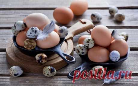 ​Сохраняем мясо, рыбу и яйца свежими — Полезные советы