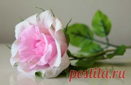Розы из гофрированной бумаги пошагово. 8 марта. Розы из гофрированной бумаги - очаровательное украшение для любого праздника. Есть много способов для создания такого цветка пошагово.