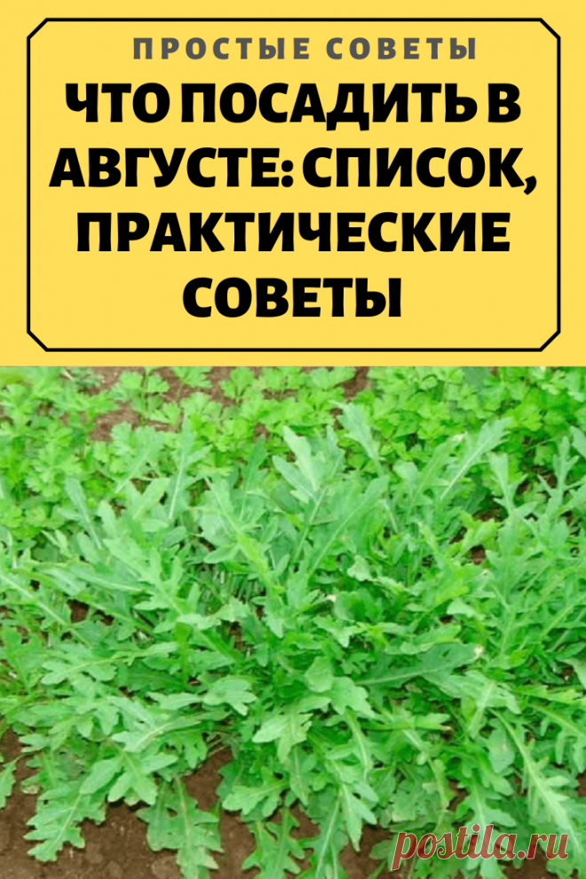 Тебе нужно посадить дерево составь план своих действий для этого выбери из