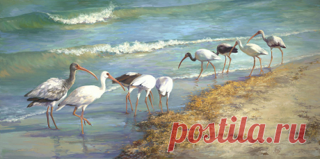 Ibis on Marco Island by Laurie Snow Hein Ibis on Marco Island Painting by Laurie Snow Hein