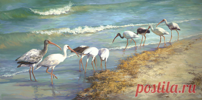 Ibis on Marco Island by Laurie Snow Hein Ibis on Marco Island Painting by Laurie Snow Hein