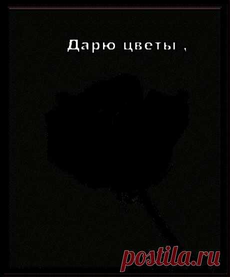 Плейкаст «С ПРАЗДНИКОМ МИЛЫЕ ЖЕНЩИНЫ!!!»