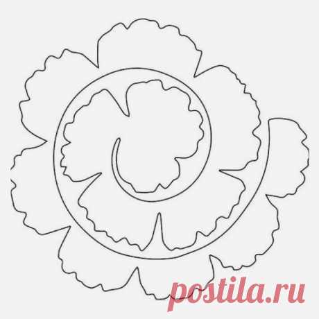 (3) Одноклассники