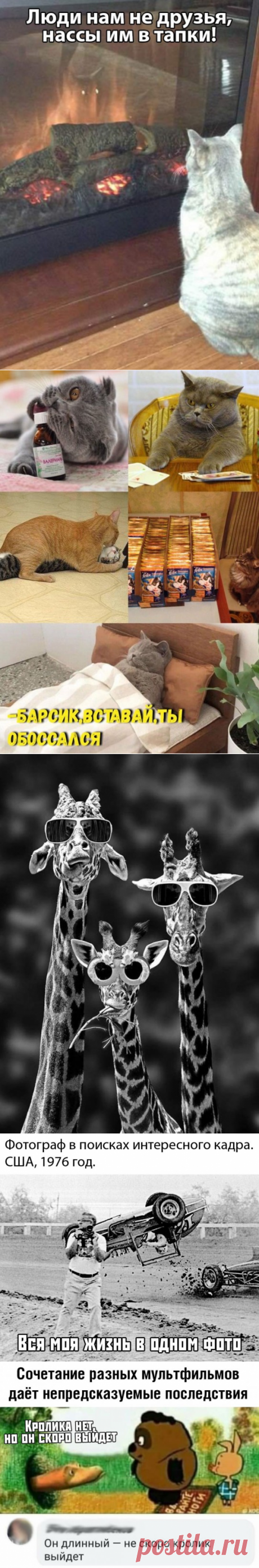 Подборка прикольных картинок и фотографий-230