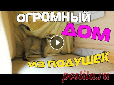 ОГРОМНЫЙ ПОДУШЕЧНЫЙ ДОМ ДЛЯ КОТОВ ВЛОГОВЫЙ КАНАЛ НАШЕЙ ЗВЕРОСЕМЬИ: Канал наших котят: Адрес для ваших посылок: до востребования г.Москва, индекс 105187, Щербаковская улица, 58А Бондаре...