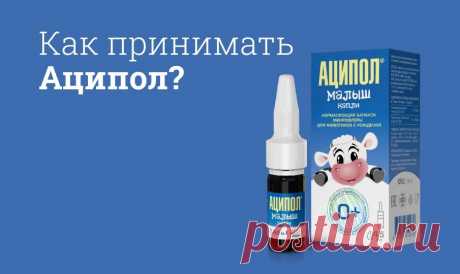 Аципол инструкция по применению, цена: Аналоги, состав, побочные действия, дозировка Аципол — пробиотик. Его применяют при дисбактериозе кишечника, вызванного патогенными микроорганизмами. Аципол капли применяют в качестве БАД к пище. Если вы заметили у себя побочные эффекты, в том числе, не указанные в инструкции, проконсультируйтесь с врачом.