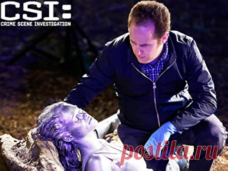 CSI: Место преступления - The Last Ride (2015)