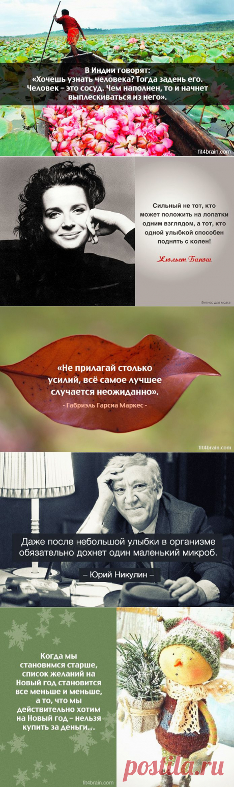Одной фразой | Полезные советы