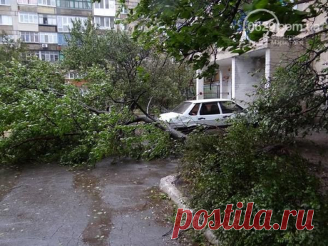 (1) Твиттер