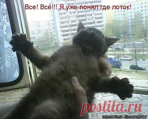 ...безвыходная ситуация.... Пора соглашаться;-))