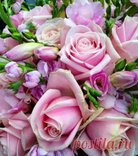 ♥♥♥ Vanda-Klub ♥♥♥Gyönyörű képek♥♥♥ – Сообщество – Google+