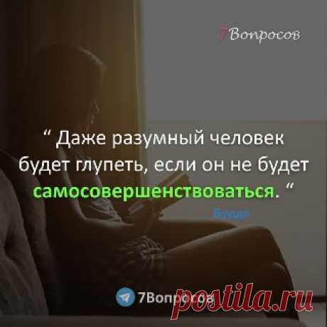 7Вопросов “ Даже разумный человек будет глупеть, если он не будет самосовершенствоваться. “ © Будда