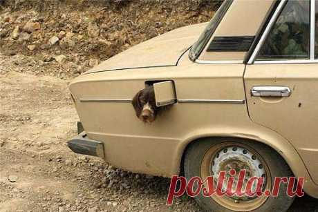Фото дня )))