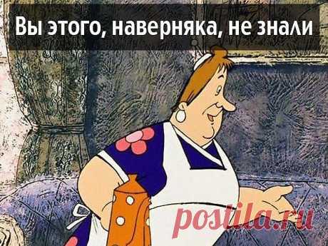 СОВЕТЫ ДЛЯ НАСТОЯЩИХ ХОЗЯЮШЕК