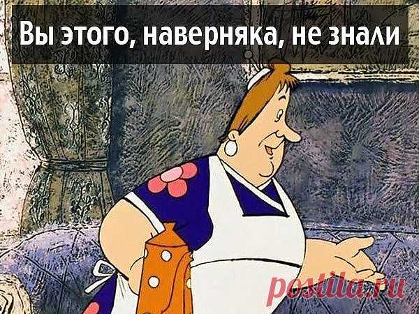 СОВЕТЫ ДЛЯ НАСТОЯЩИХ ХОЗЯЮШЕК