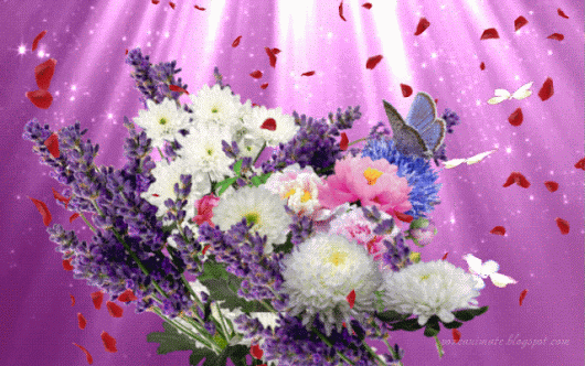 Живые фотографии – Google+