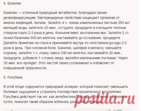 5 НАТУРАЛЬНЫХ АНТИБИОТИКОВ