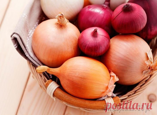 10 полезных свойств репчатого лука