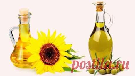 Считаете, что оливковое масло лучше подсолнечного? Какое масло полезнее?