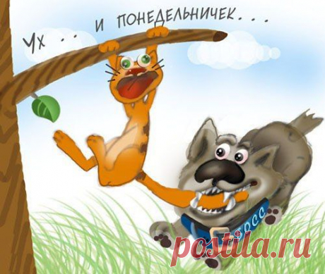 Отзвенели, улетели
Выходные дни.
Вот и снова понедельник…
Бог тебя храни:
От чиновничьего чванства,
Хамства, лжедрузей,
Тупорылого начальства
И нелепых дней.
Дай Господь тебе удачи,
Жизни без оков,
Прибавления к зарплате
И приятных слов!