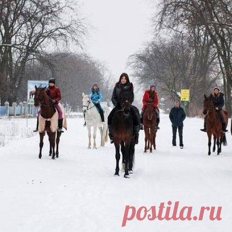 Наша "армия"#кскросинант #урокиверховойезды🐎