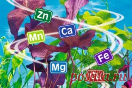 Микроэлементы для растений | 6 соток