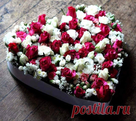(101) Beautiful World of Flowers