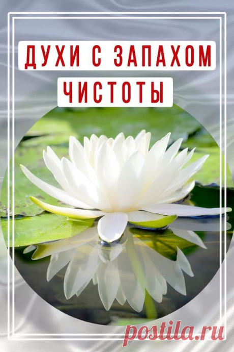 Духи с запахом чистоты — как пахнет свежевыстиранное белье, порошок и мыло в парфюмерии? | SpellSmell.ru