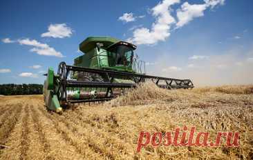 В Иркутской области планируют собрать около 900 тыс. тонн зерна. В 2024 году благоприятные природные условия позволили аграриям региона приступить к весенним полевым работам уже в середине апреля
