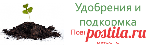 Как удобрять золой комнатные цветы для хорошего роста и пышного цветения?
