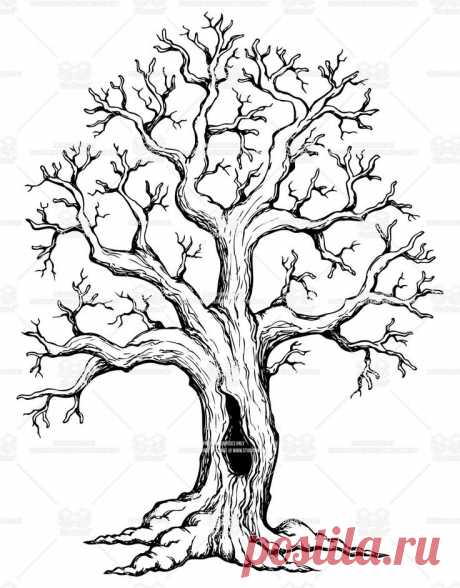 Oak Tree Drawings with Roots | Illustrator's description: Tree theme drawing 1 - vector illustration.