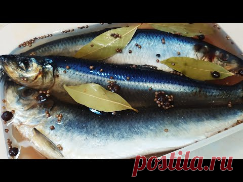 Как ВКУСНО засолить СЕЛЬДЬ. Малосольная селедка в домашних условиях.