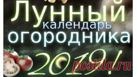 Лунный календарь огородника и садовода на 2019 год! Когда сажать рассаду в 2019 году?