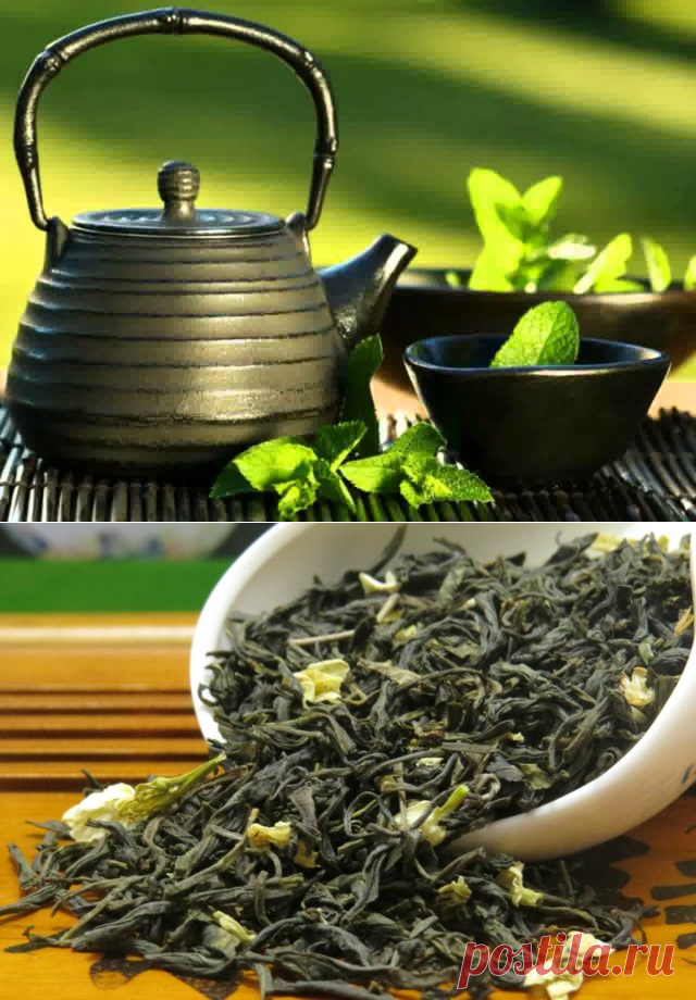 Черный чай снижает. Чай. Зеленый чай. Черный и зеленый чай. Крепкий зеленый чай.