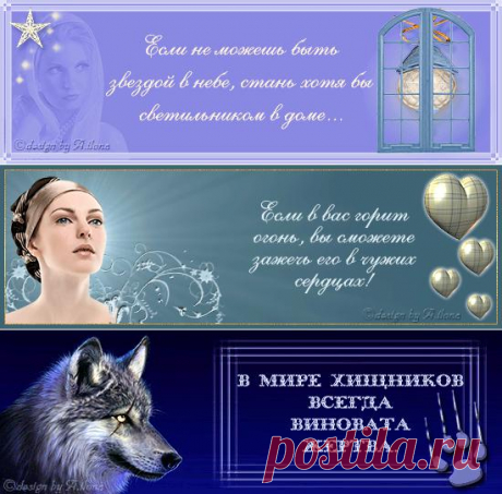 В мире хищников всегда виновата жертва.
Открытки-ленточки с афоризмами/цитатами.
