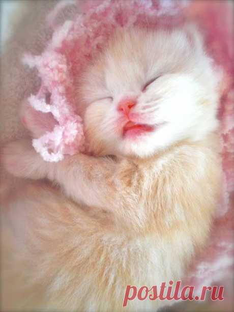 oh my goodness! ❤❤❤