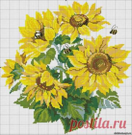вышиванка соняхи