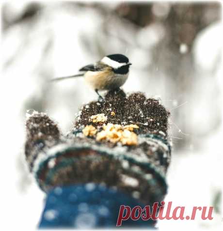 Когда душа наполнена добром, 
Она щедра, мила, чистосердечна, 
Не оставляйте, люди, на потом 
Любовь к другим, 
Не будьте так беспечны .. В жизни все придет, как и должно быть,