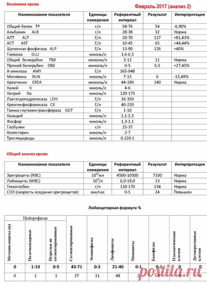 Забор венозной крови для анализов - гемограммы