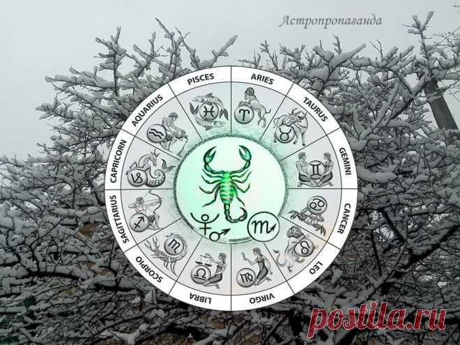 Гороскоп для Скорпиона с 29 ноября 2021 по 2 января 2022 года ...