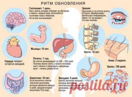 Сколько вам лет?