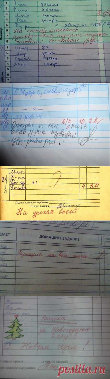Замечания в дневниках, которых мы когда-то так боялись... ) | ПолонСил.ру - социальная сеть здоровья