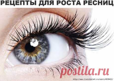 сообщение Лада_Германовна : Рецепты для роста ресниц. (09:36 25-07-2015) [4938422/367837608] - lada.semenova.69@mail.ru - Почта Mail.Ru